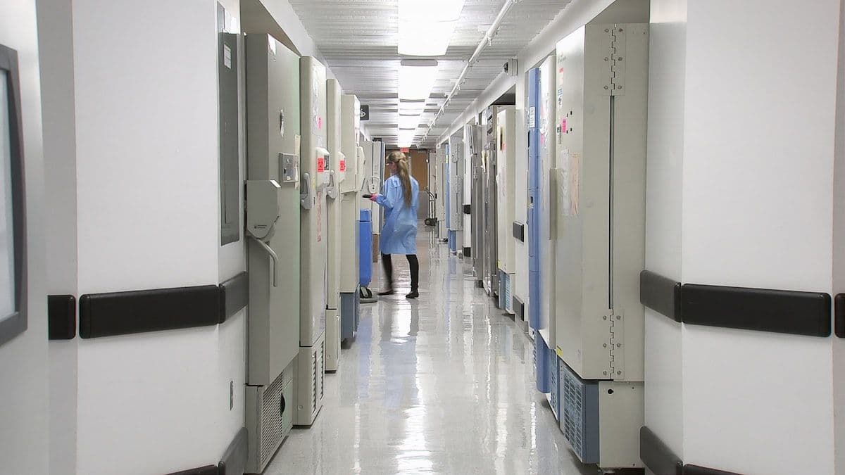Efectos secundarios del Tirzepatida para adelgazar